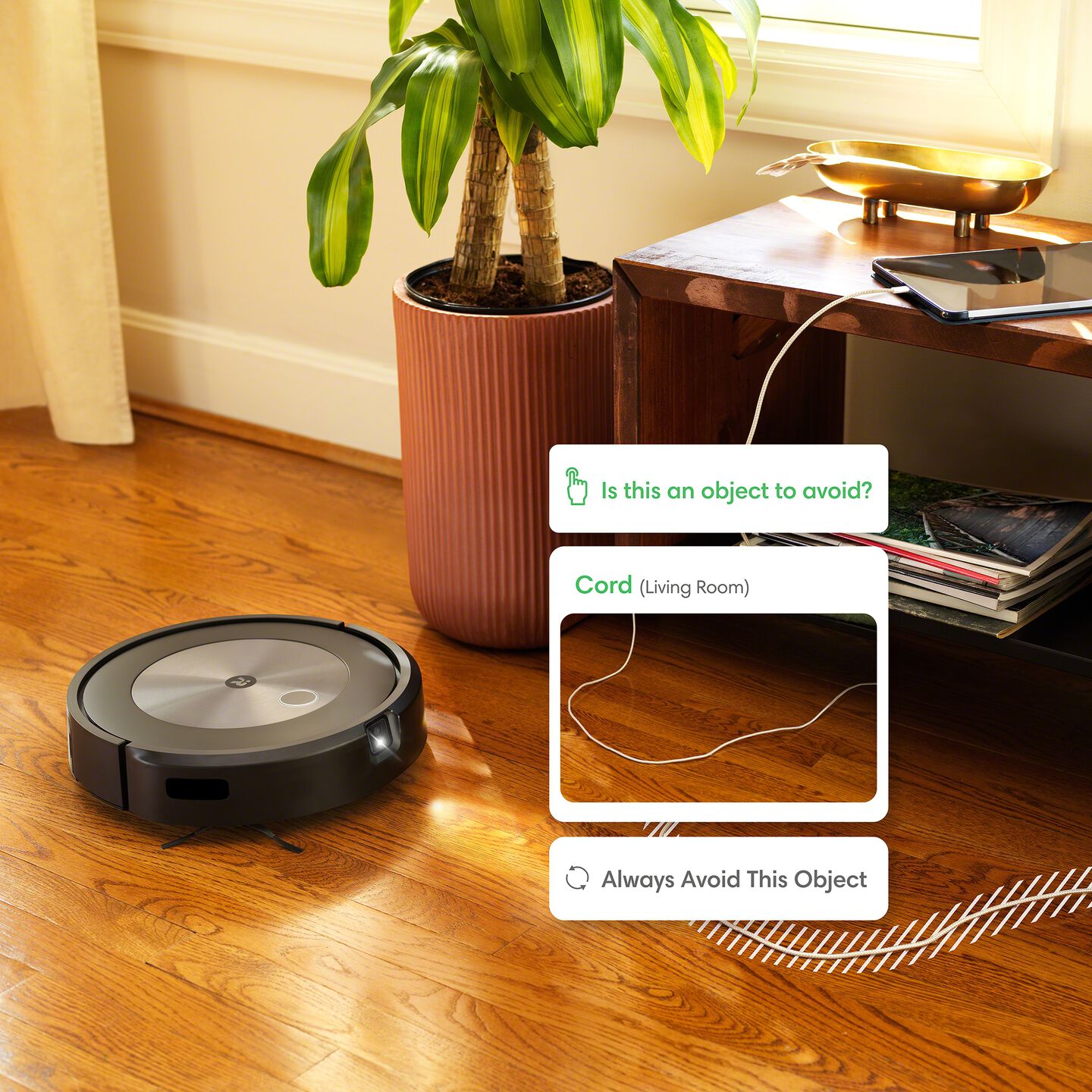 Mapping items for a Roomba to avoid