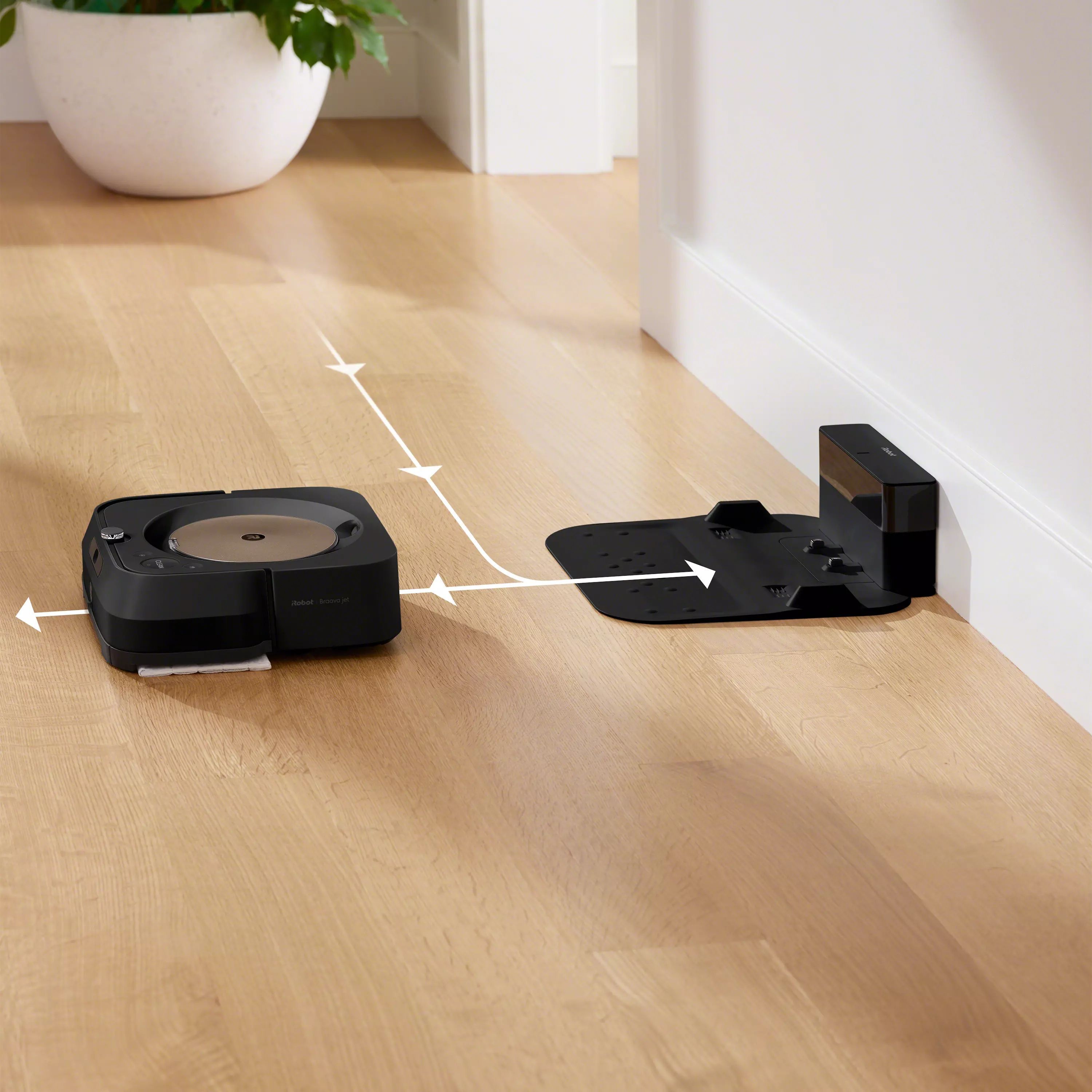 Braava jet® m6-dweilrobot | iRobot®