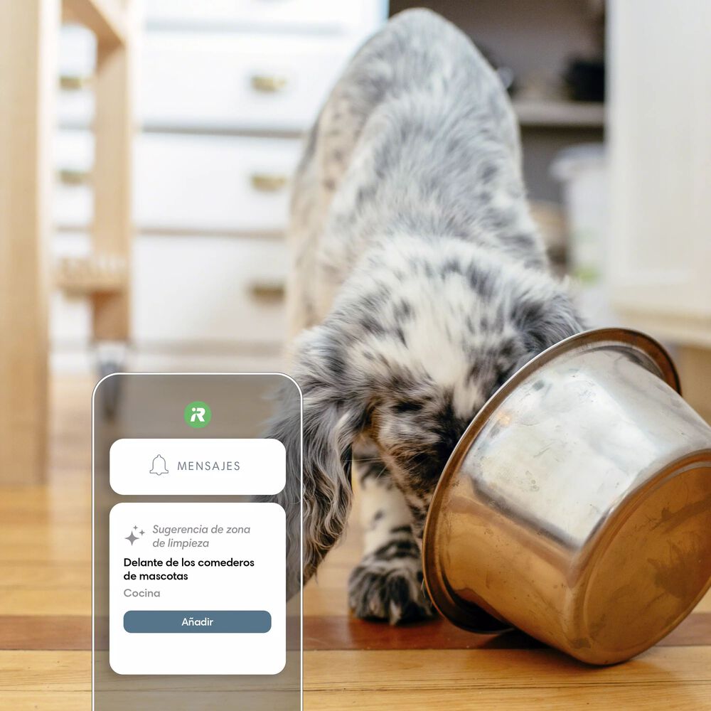 iRobot&nbsp;OS ofrece m&aacute;s sugerencias personalizadas que cualquier otro robot